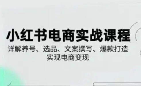 小红书从0-1实操课(2023-2025),详解养号、选品、文案撰写、爆款打造实现电商变现-山河资源网