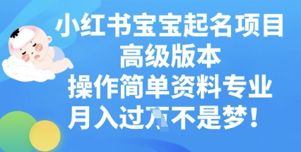 小红书宝宝起名项目高级版本,操作简单,资料专业,月入过W-山河资源网