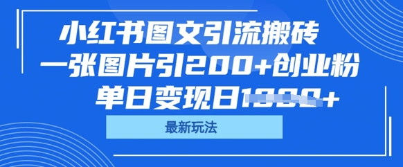 小红书图文引流搬砖,一张图片引200+创业粉,单日变现日数张-山河资源网