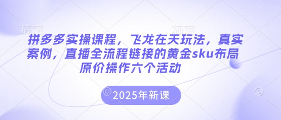 拼多多实操课程,飞龙在天玩法,真实案例,直播全流程链接的黄金sku布局原价操作六个活动-山河资源网