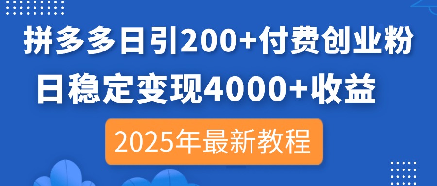 (14217期)拼多多日引200+付费创业粉,日稳定变现4000+收益,2025年最新教程-山河资源网