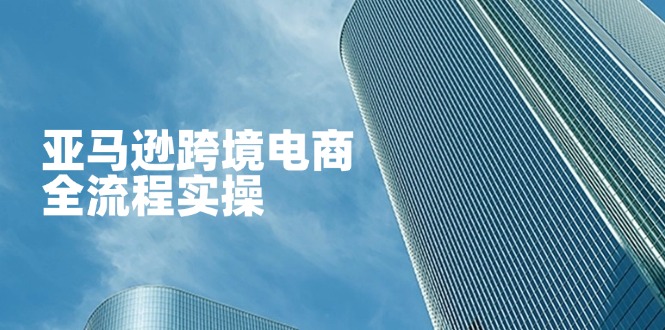 （14252期）亚马逊跨境电商全流程实操，教你从零开始，掌握店铺运营与广告技巧-山河资源网