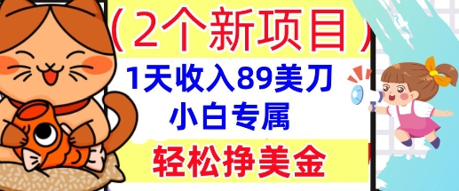 2个新项目,轻松挣美金, 1天收入89美刀,小白专属,干货分享-山河资源网