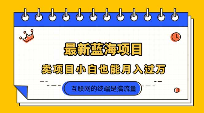 (14289期)2025年最新蓝海项目,卖项目小白也能月入过万-山河资源网