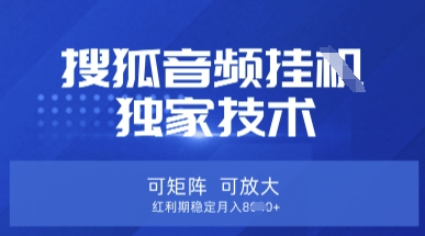 【搜狐音频挂G】独家技术,可矩阵可放大,红利期稳定月入8k【揭秘】-山河资源网