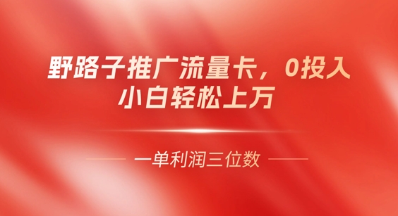 0门槛推广流量卡,一单收益上百,0投入,小白月入过W-山河资源网
