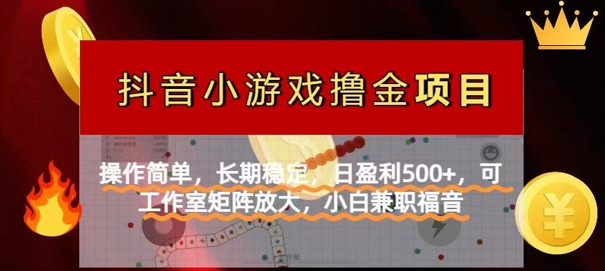 (14290期)【抖音小游戏发行人计划项目】操作简单,长期稳定,日盈利500+,可工作...-山河资源网