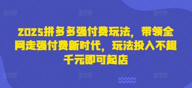 2025拼多多强付费玩法，带领全网走强付费新时代，玩法投入不超千元即可起店-山河资源网