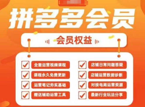 2025拼多多运营实战课,40节全流程教学,覆盖拼多多运营全链路-山河资源网