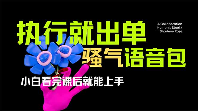 (14170期)爆火全网的开车导航骚气语音包,只要执行就出单,小白看完课程就能实操...-山河资源网
