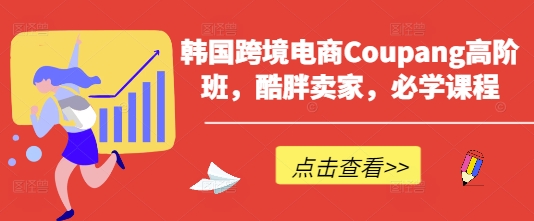韩国跨境电商Coupang高阶班,酷胖卖家,必学课程-山河资源网
