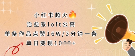 小红书超火的治愈系loft公寓,单条作品点赞16W,3分钟一条,单日变现数张-山河资源网