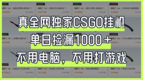 真全网独家CSGO挂G,单日捡漏1k+【揭秘】-山河资源网