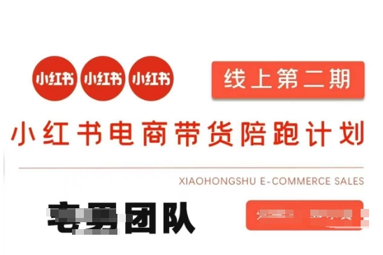 小红书电商带货课2期,月利润20个的小红书电商的有货源,无货源,虚拟产品,付费投流等整套玩法-山河资源网