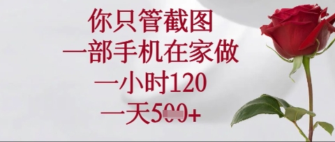 你只管截图,一部手机在家操作,一小时120.一天5张【揭秘】-山河资源网