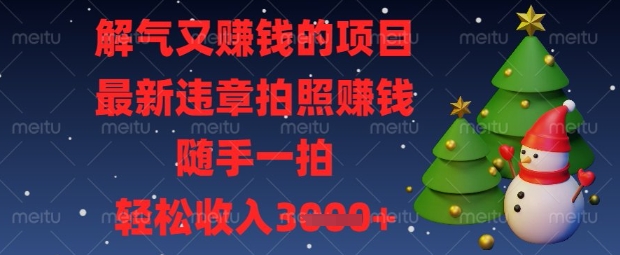 解气又挣钱的项目,最新违章拍照挣钱,随手一拍,轻松收入数张【揭秘】-山河资源网